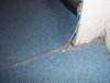 100_0719.jpg