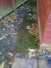 Photo0118.jpg