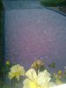 Photo0020.jpg