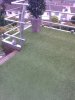 agrass4.jpg