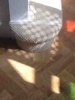 ImageUploadedByTapatalk HD1373497102.472519.jpg