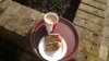 WP_20140408_001.jpg