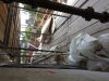 20140723_145129.jpg