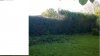 WP_20150513_001.jpg