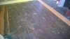 WP_20150611_001.jpg