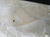 20160905_152251.jpg