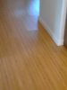 IMG_20161008_101308.jpg