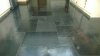 WP_20161220_001.jpg