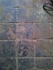 IMG_20170529_111501.jpg