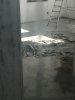 68B4994F-0517-4B2A-B40D-B48C5CAF7166.jpeg