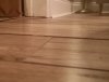 IMG_20200109_174221.jpg