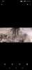 Screenshot_20200622-221039.jpg