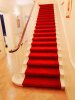 20201010_124212.jpg