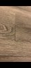630050CA-55BF-4D8F-9913-F9009115329B.jpeg