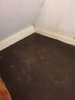 floor1 (Large).jpg