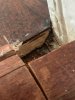 IMG_7782-small.jpg