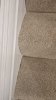IMG-20231204-WA0010.jpg