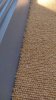 img_0008.jpeg