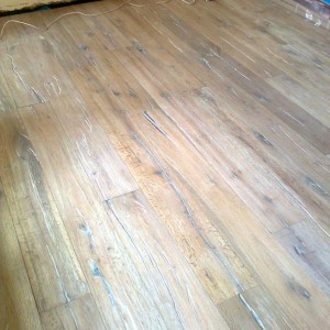 Photo0012