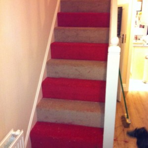 red and cream carpet