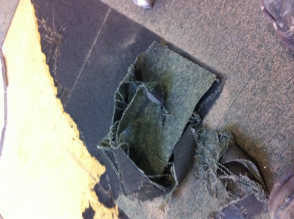 photo 2 (1)